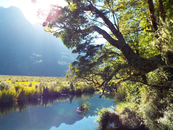 Mirror Lake New Zealand 
