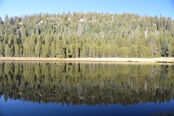 Mirror Mirror on the Water - Yosemite 