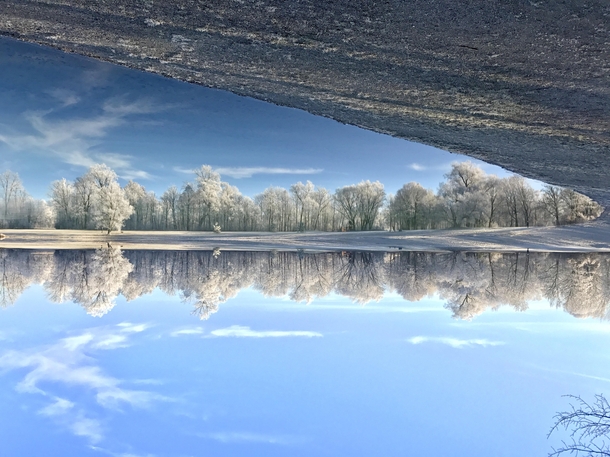Mirrored in a bavarian lake in winter 