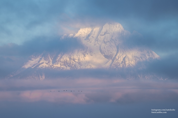 Misty Morning Mt Moran 