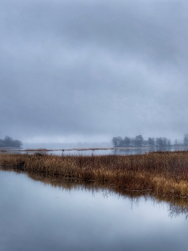 Misty winter day on the Rideau River in Ontario Canada  OC