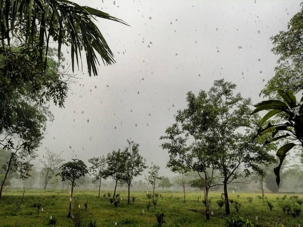 Monsoon in Assam What does it bring happiness and prosperity  Or misery discomfort flood and landsliding A blessing in disguise or the other way around   