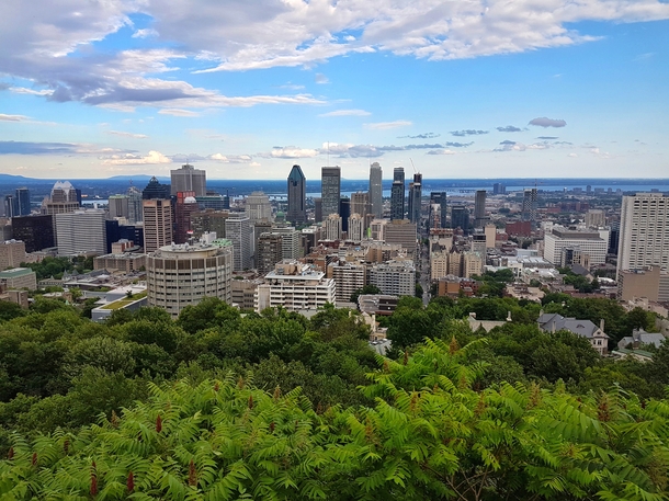 Montreal viewed from Mont Royal 