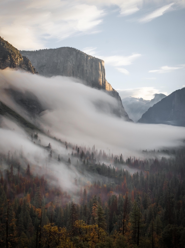 Moody morning in Yosemite    IG ambisoul