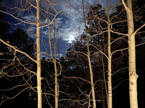 Moon and Aspens Pagosa Springs CO 