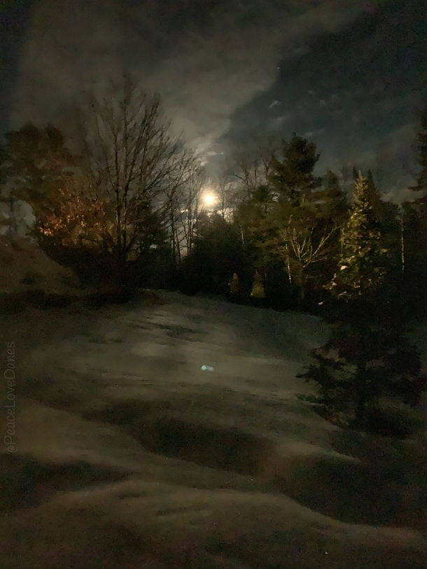 Moonlight in Maine
