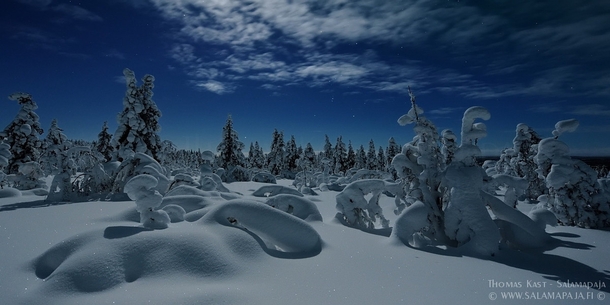 Moonlight shines on an untouched winter scenery in Lapland Finland  photo by Thomas Kast