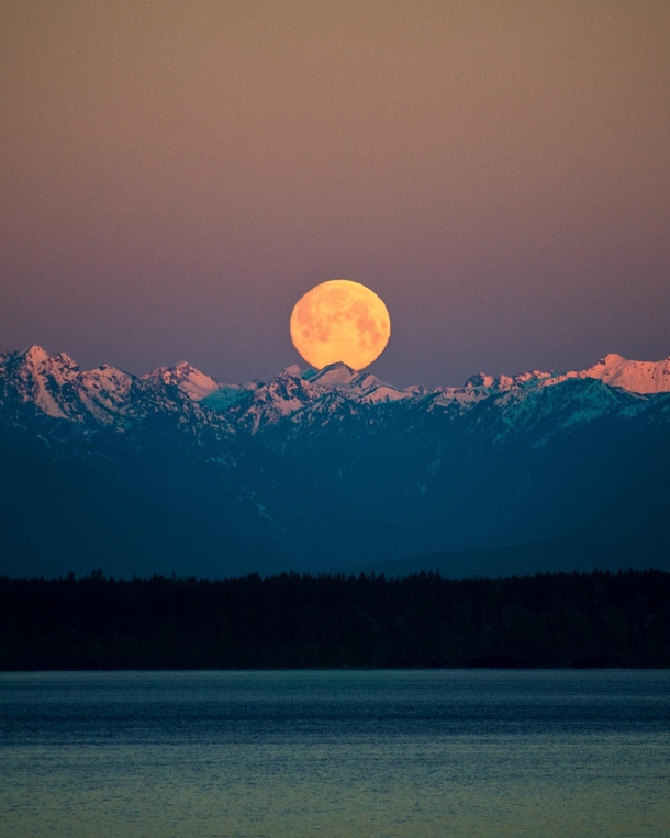 Moonset over the Olympic Mountains at sunrise seen from Seattle 