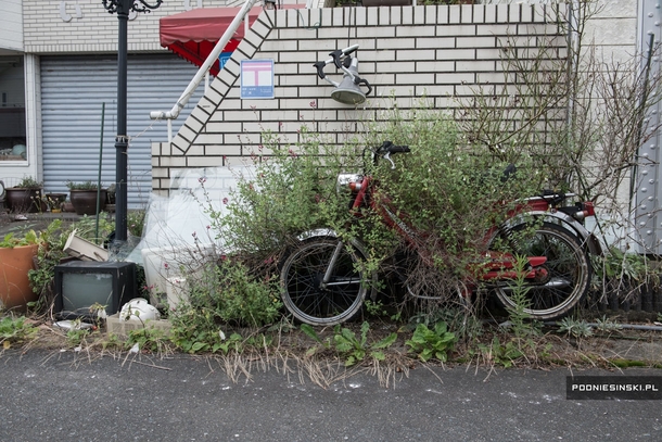Moped being overrun by weeds parked on the street in Namie in the Fukushima Exclusion Zone 