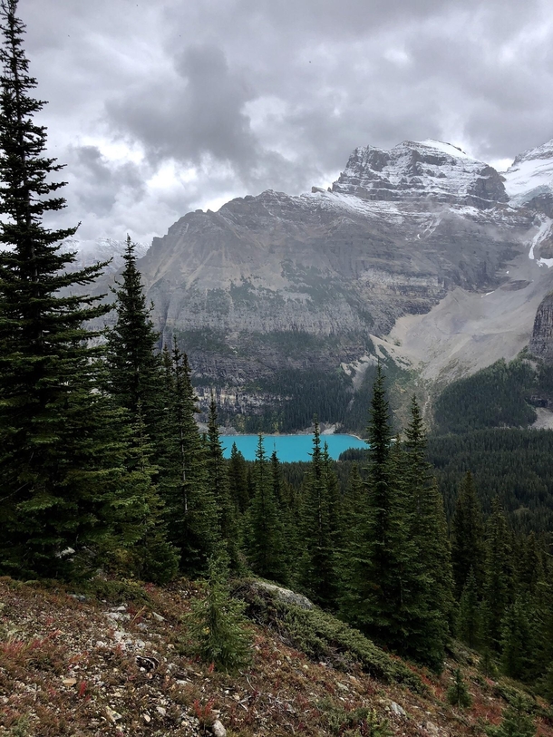 Moraine Lake from a distance 
