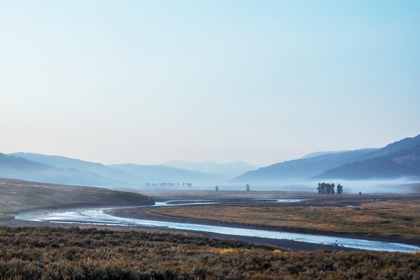 Morning fog in the Lamar Valley Yellowstone National Park Wyoming 