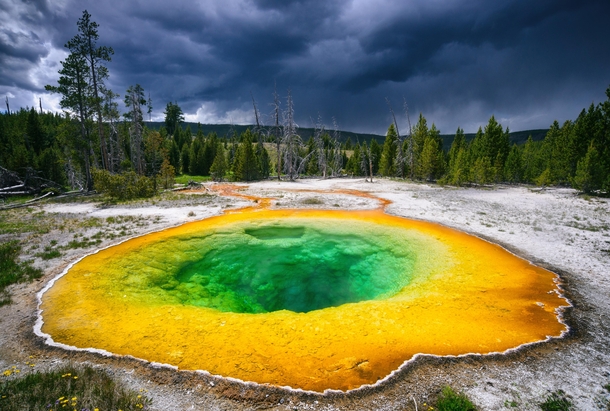 Morning Glory Pool in Yellowstone NP used to be blue but coins have dyed it greenyellow OC 