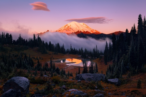 Morning glow on the beautiful Mt Rainier just after fog clears above Tipsoo Lake Washington State 