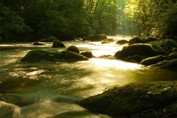 Morning sun spilling into Forney Creek at Great Smoky Mountains National Park Tennessee 