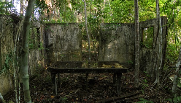 Mortuary operating table being reclaimed by the jungle in Brazil 