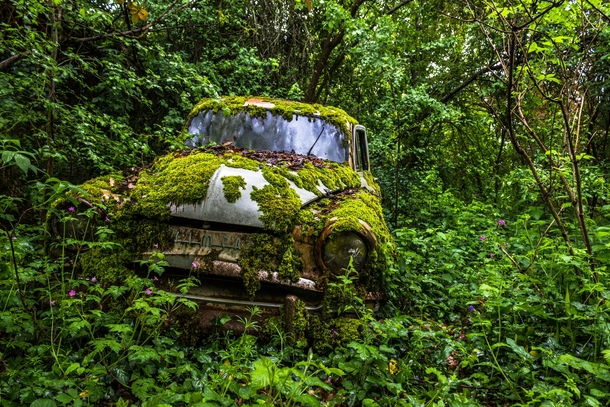 Mossy car Photo by Antoine Jacquiaux 