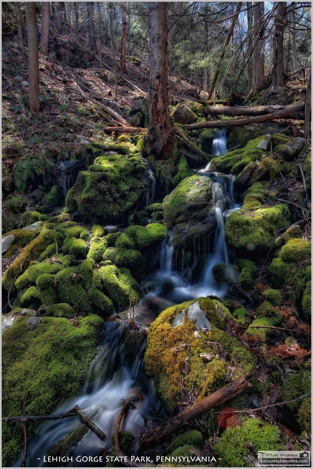 Mossy Glen in Lehigh Gorge State Park Pennsylvania 