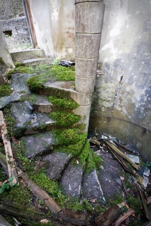 Mossy spiral staircase at St Peters Seminary Cardross Scotland 
