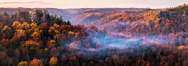 Mother Nature musters up the last of her strength for her autumn grand finale  Red River Gorge Kentucky 