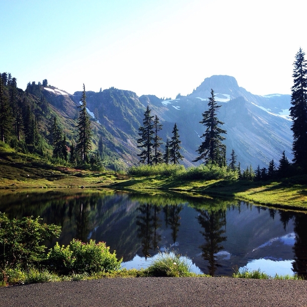 Mount Baker National Forest Washington 