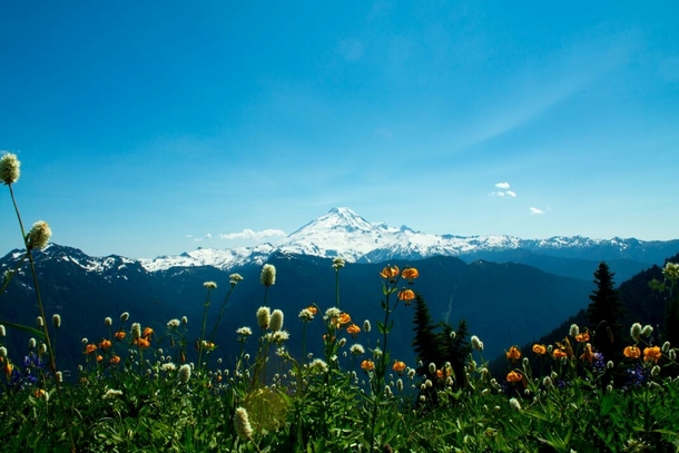 Mount Baker Washington - Im a  year old amateur photographer and I thought Id share some of my work 