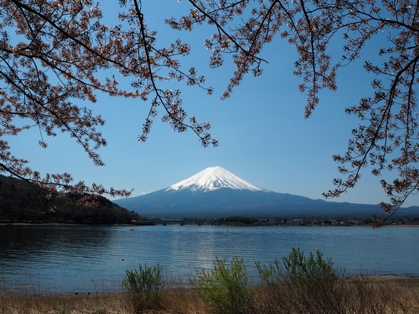 Mount Fuji view from Lake Kawaguchiko April  