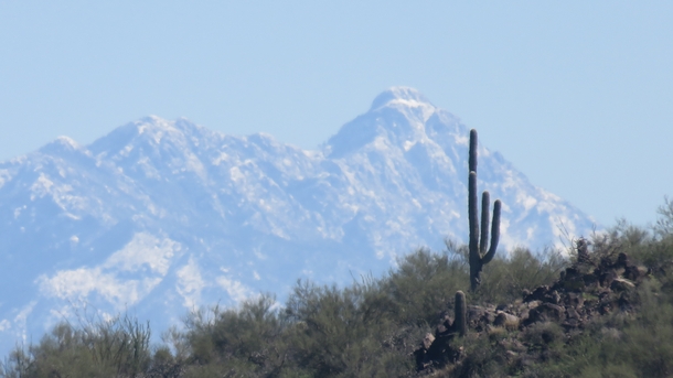 Mount Wrightsons snowy summit a mile above the Sonoran Desert 