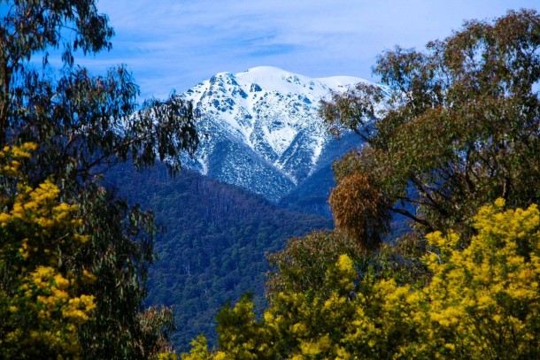Mt Bogong Vic Australia 