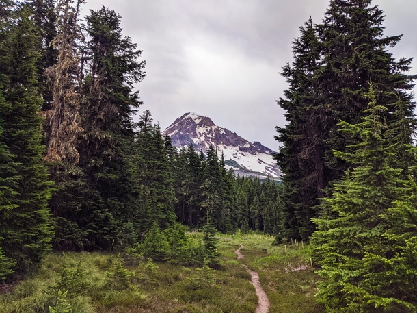 Mt Hood over the timberline - Mazama Trail OR - 
