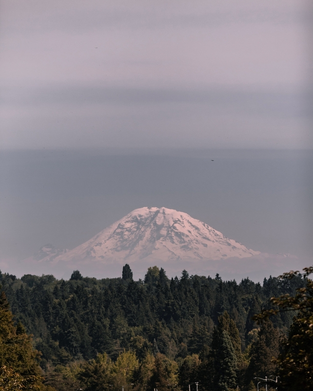 Mt Rainer seen from University of Washington in Seattle Washington 