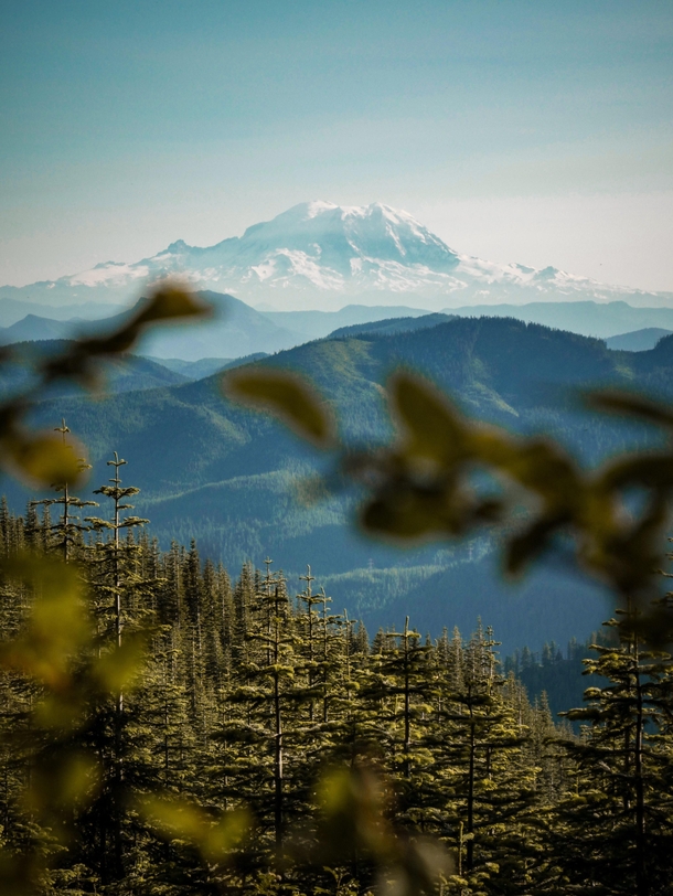 Mt Rainier as seen from Mt Margaret Washington State   x 