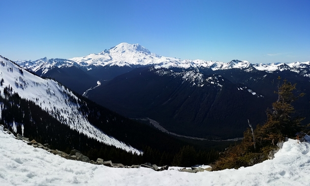 Mt Rainier  x