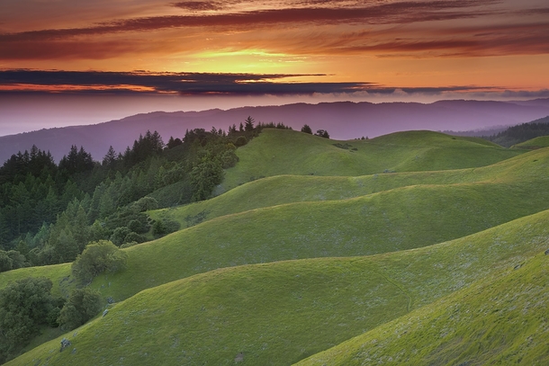 Mt Tamalpais Marin County California - Patrick Smith 