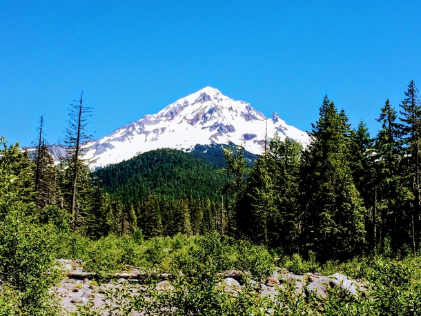MtHood seen from Ramona Falls trail A Pacific Northwest beauty 