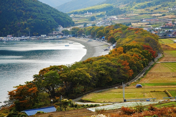 Mulgeon-ri village and Windbreak Forest Namhae county South Gyeonsang Province South Korea 