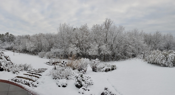 My backyard this morning Winter is coming and Im so ready