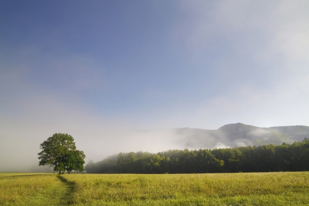 My favorite spot in Cades Cove Great Smoky Mountains National Park TN 