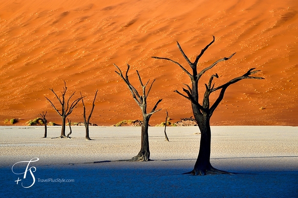 My first post in EarthPorn is a question Do the worlds highest sand dunes hide the most unreal sight in Africa Deadvlei in Namibia by Daniel Laskowski amp Luiza Zadros 