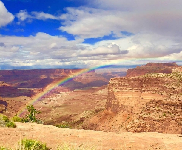 My mom caught this rainbow with her cell phone on a drive through Canyonlands NP Utah 