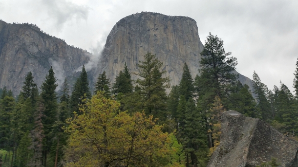 My Yosemite pass ends todaygoodbye El Cap 