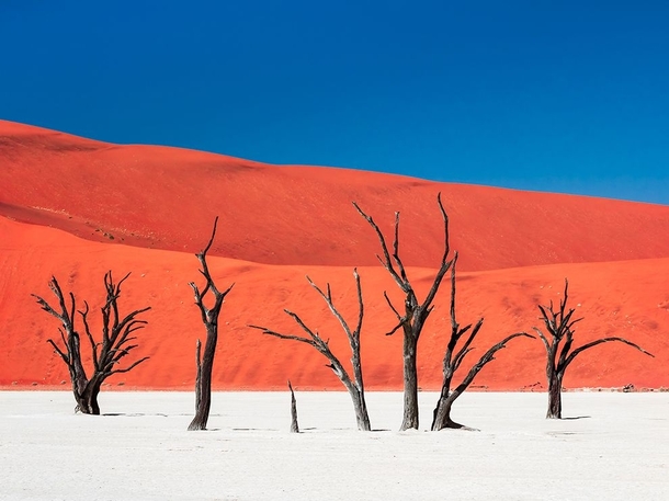 Namibias Dead Vlei by Carsten Krger 