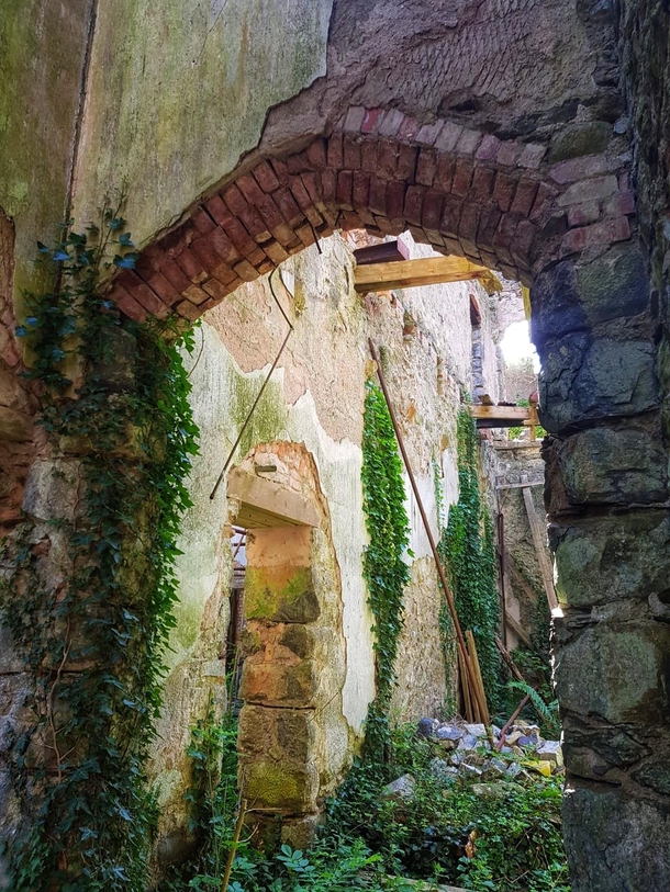 Nature reclaiming a derelict welsh castle 