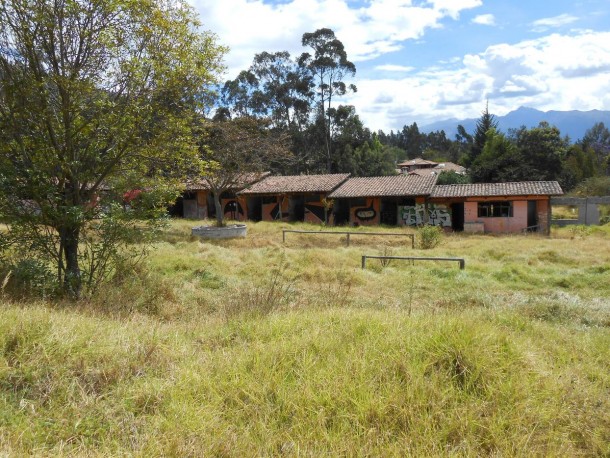 Nature reclaiming an abandoned horse stable in Ecuador album in comments 