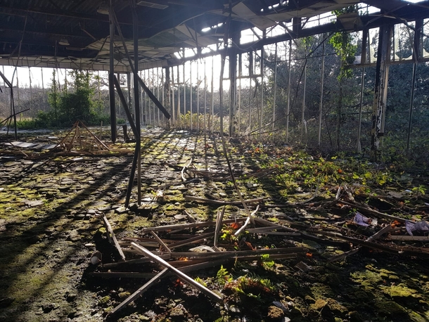 Nature reclaiming an old factory Northern Ireland OC x