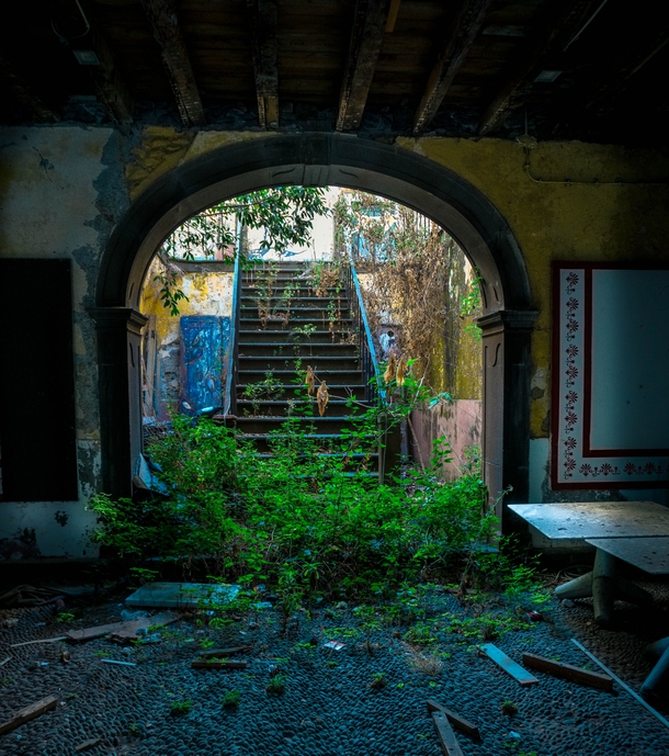 Nature reclaiming old building on the island of Madeira