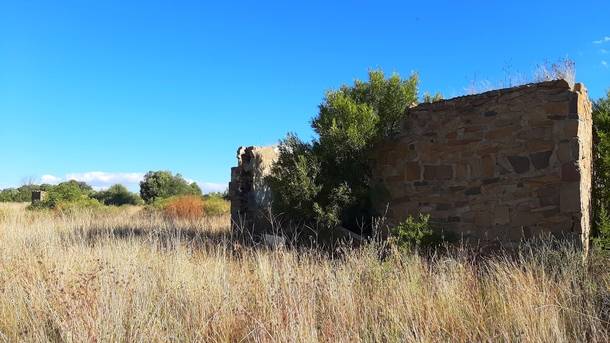 Nature reclaiming old stone house Free State South Africa 