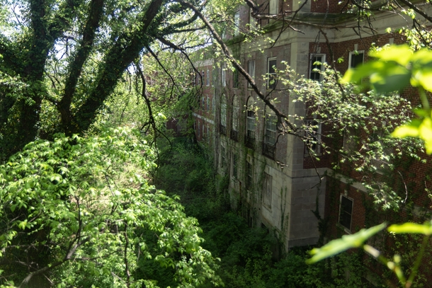 Nature reclaiming this abandoned hospital 