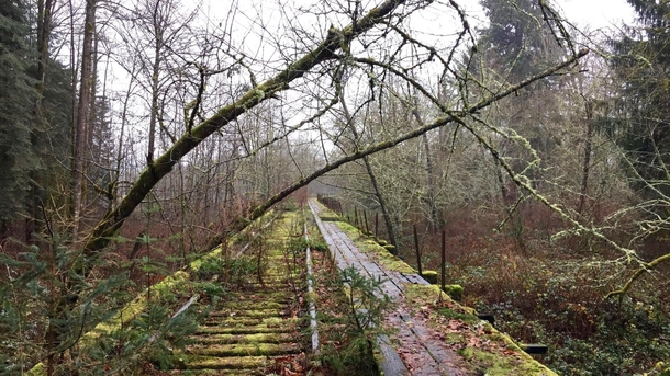 Nature Reclaims an Old Abandoned Railway Snoqualmie Washington USA 