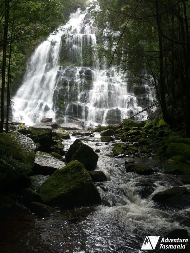nelson falls tasmania tags water nelson falls tasmania