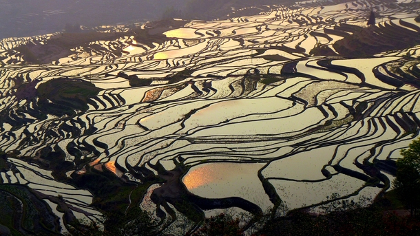 New on UNESCOs World Heritage List the rice terraces in Yunnan China produce a visually striking agricultural landscape built by the Hani people for over  years 